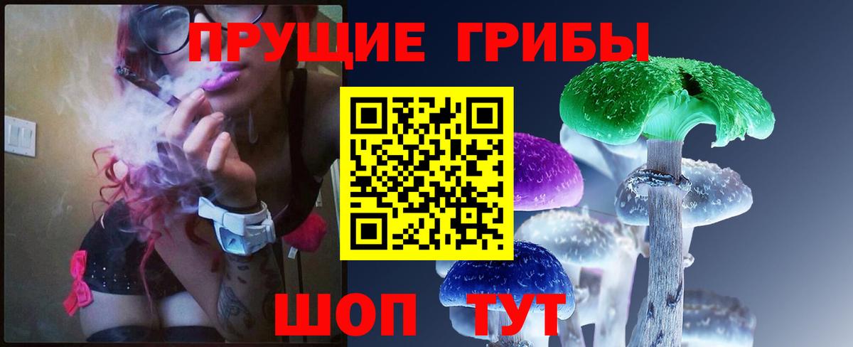 Псилоцибиновые грибы Psilocybine cubensis  Вход с VPN  Псилоцибиновые грибы Psilocybe  Нальчик 